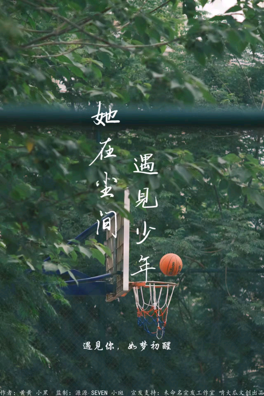 她在塵間遇見少年
